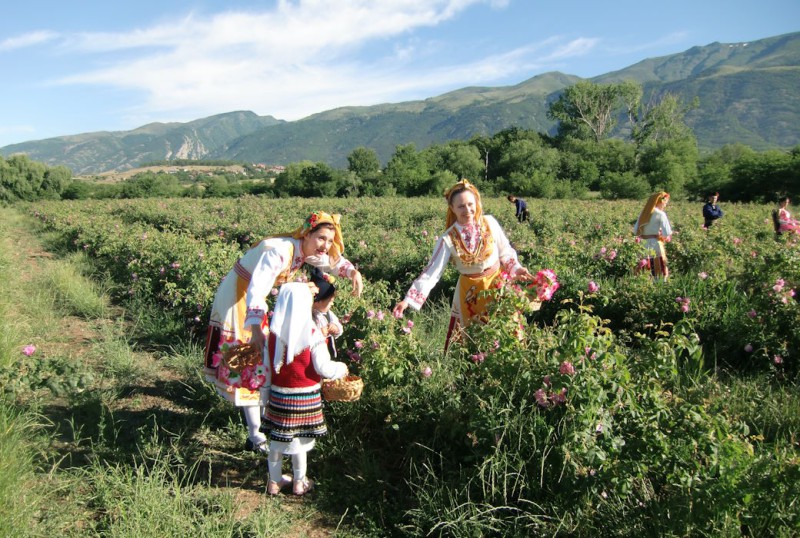 12-daagse Groepsrondreis Fascinerend Bulgarije Rozenfestival 2013 - reisspecialist Rodina Travel