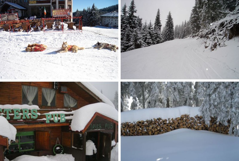 Wintersportvakantie Pamporovo hotel Dafovska Bulgarije 2012 - reisspecialist Rodina Trave