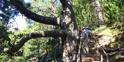 02 BaykushevaMura Bansko Wandelreis Bulgarije Reisorganisatie Rodina