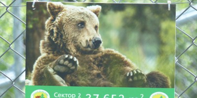 02 Berenbos Belitsa Bulgarije Reisorganisatie Rodina Travel Frank Lindeboom